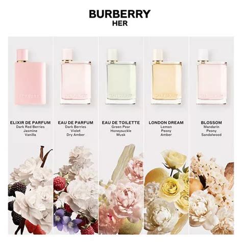 agenda burberry|burberry her fragrance.